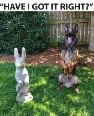 FB_IMG_1744579562258