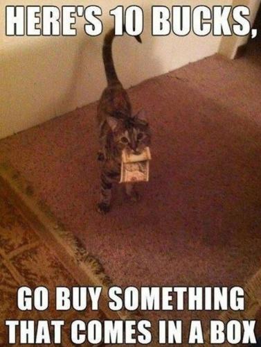 64ee9b8cb0a8d672c50b1f60a3b89595