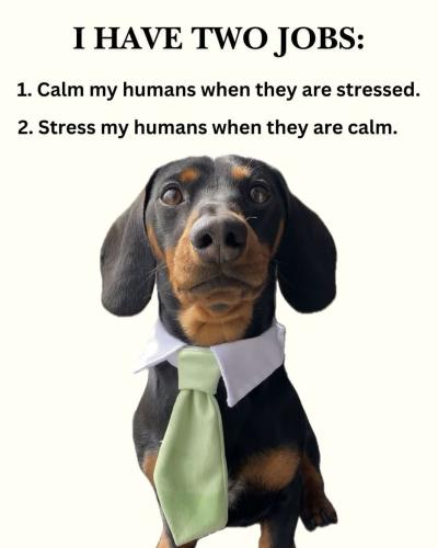 FB_IMG_1743706257823