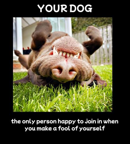 FB_IMG_1745090730796