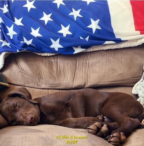 Screenshot_20250406_115536_Gallery