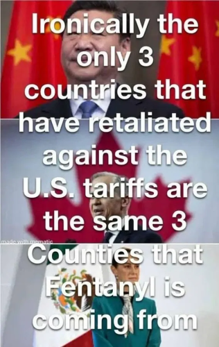 image_2025-04-14_061506994