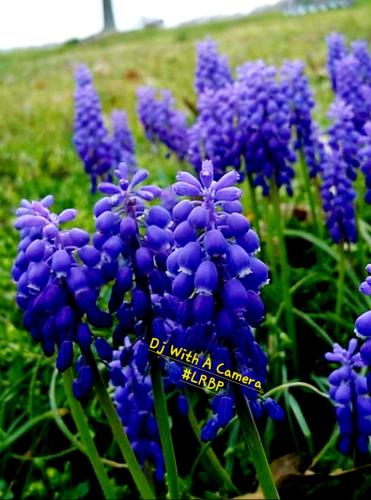 Screenshot_20250421_071447_Gallery