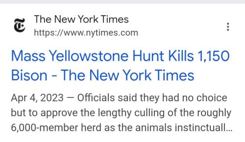 Screenshot_20250411_083142_Google