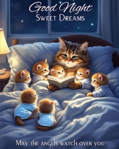 45caa6bb830d6b82f1fff7cfe86a5571