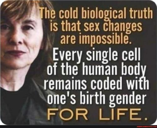 57f2d80a5af788059ecbeea2c6aa9beeab292c610842e9f0c1cd68a6d64a22ba_1