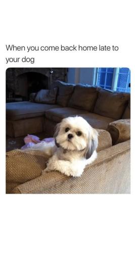 FB_IMG_1744292194515