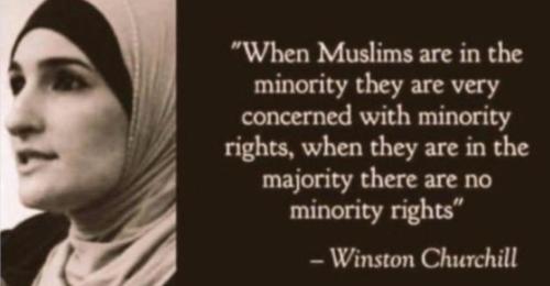 489397738_1376145973422679_6084891901952406146_n