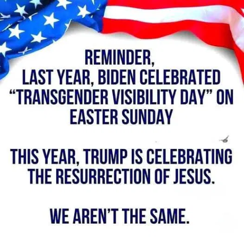 image_2025-04-20_083636608