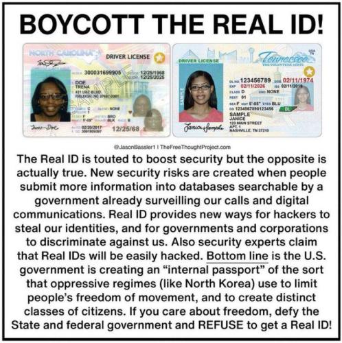 IMG_20250418_102351_853