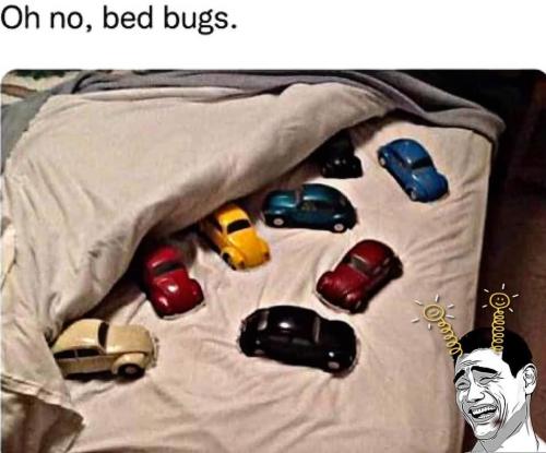 FB_IMG_1743614623591