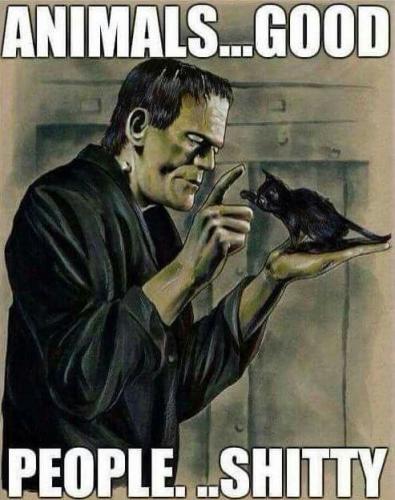 195d743fd6adc481e19ea0ea45458159