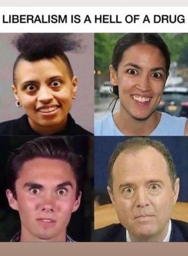 image_2025-04-01_061938653