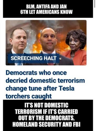 TESLA DEMOCRATS