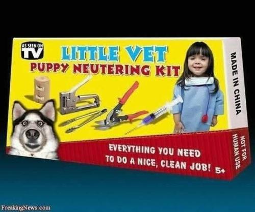 FB_IMG_1744469910739