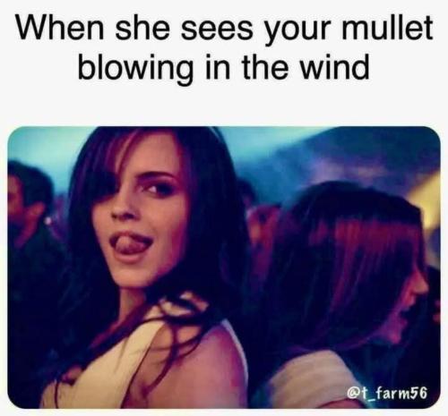 image_2BD254B7-94E5-4D6B-A887-F74CB4866389