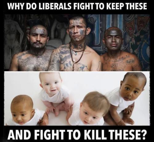 823BBA72-9114-48E1-A288-AFB1D1C85739