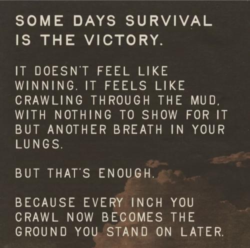 Screenshot_20250429_061336_Instagram