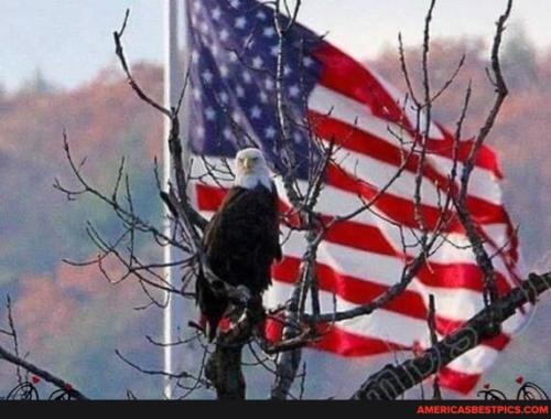 c69cefed963b48c4edde879c345b4891c2bcca3d301b7bc49fb6285d3d87e47e_1