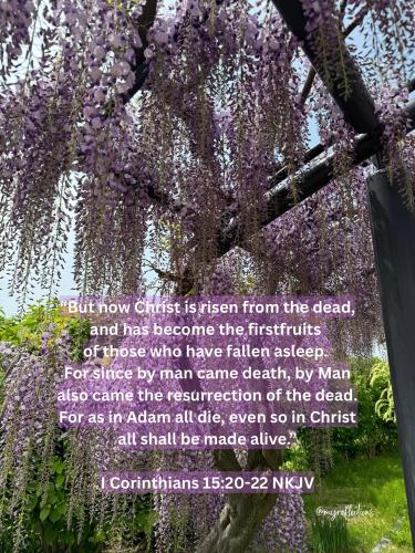 492068606_688129750824759_6225744129325801447_n