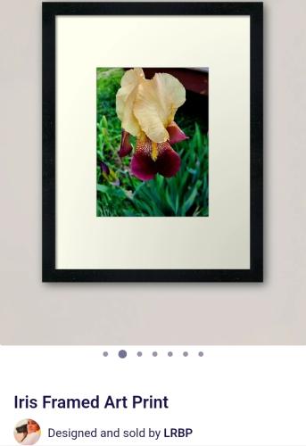 Screenshot_20250415_175435_Brave