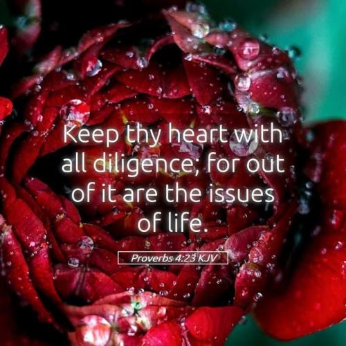 5ccb7c21-63f0-48f2-9f17-7a380954c6dc