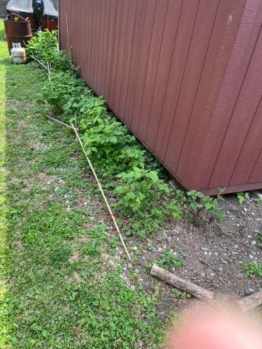 597313E1-0AB2-4F36-897E-A233204EEF57