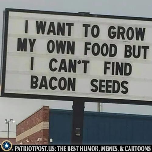 Bacon Seeds