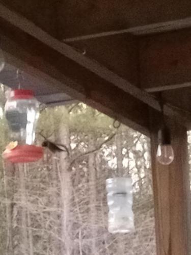 IMG_20250412_191901797