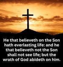 63bdcacc-a391-47e4-b0e9-46db507eb353