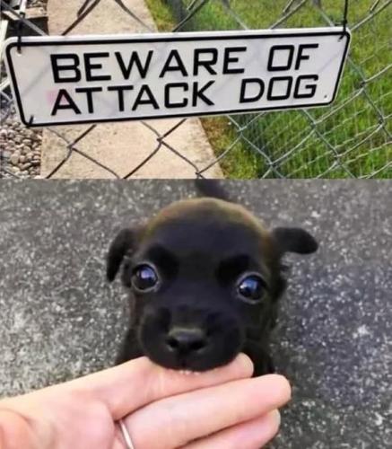 FB_IMG_1743870329956