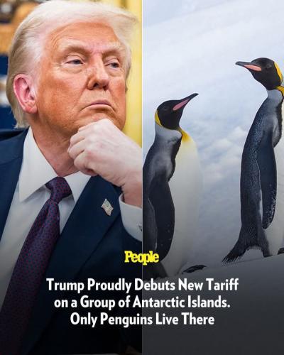 FB_IMG_1743720502562