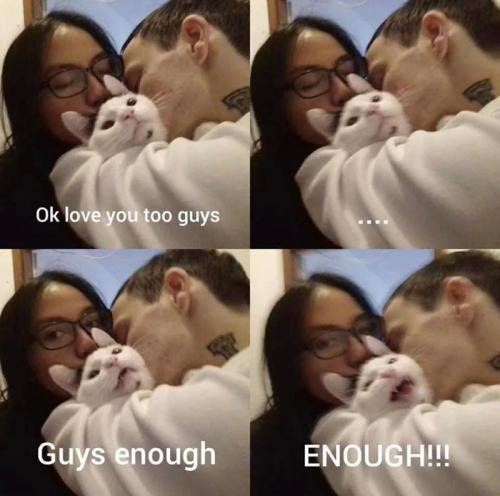 ok-love-too-guys-guys-enough-enough