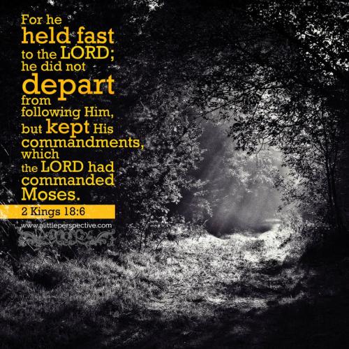 2-kin-18-6-ww-unsplash-9x