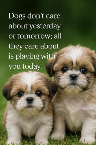 FB_IMG_1745700528601