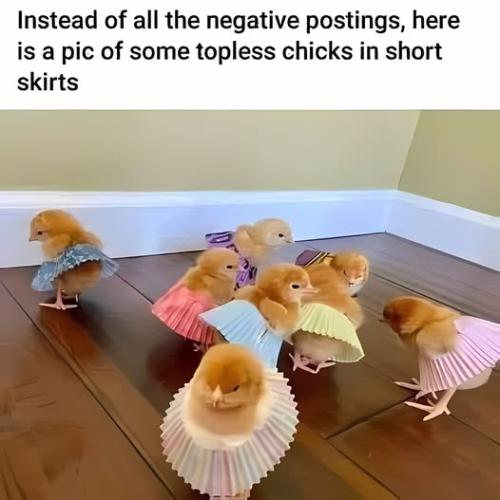 490777013_122135290220692518_7442907131557868357_n