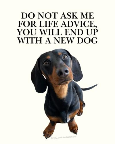 FB_IMG_1744490633859