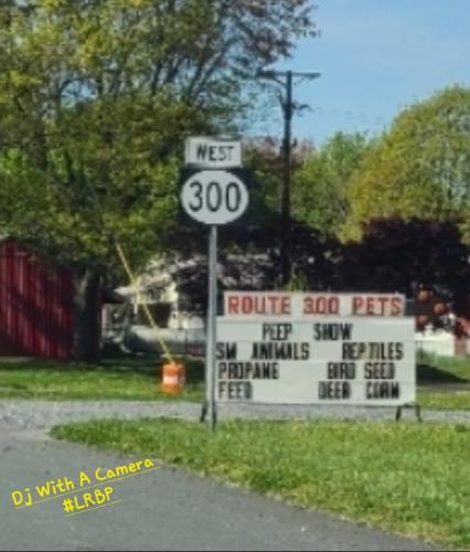 Screenshot_20250409_071710_Gallery