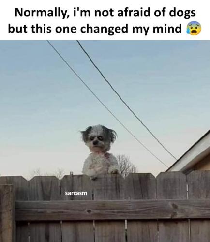 FB_IMG_1744390436996