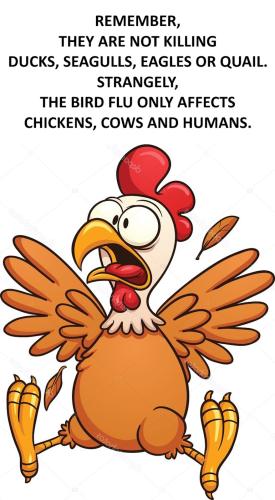 depositphotos_15554125-stock-illustration-cartoon-chicken