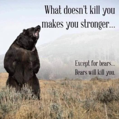 Screenshot 2025-04-12 142201