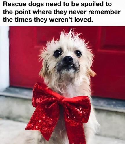 FB_IMG_1743539190308