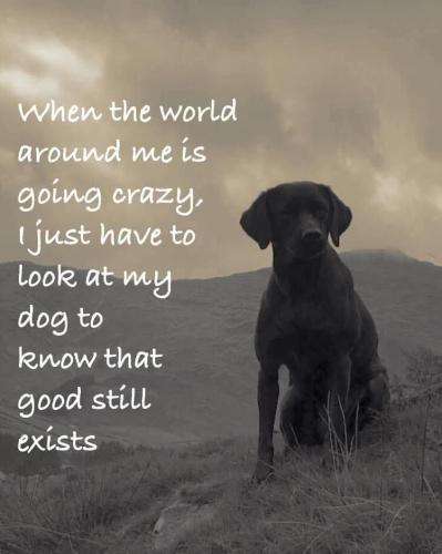 FB_IMG_1743802814723