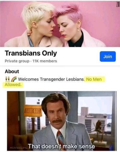 image_CE318FB3-EE96-4081-A317-98051D0E3644