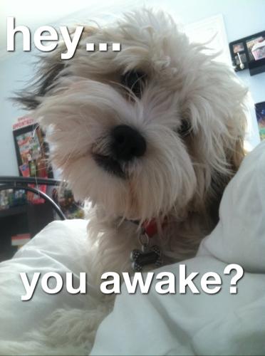 1f5edae369bec0eb532c0f52b430b74c