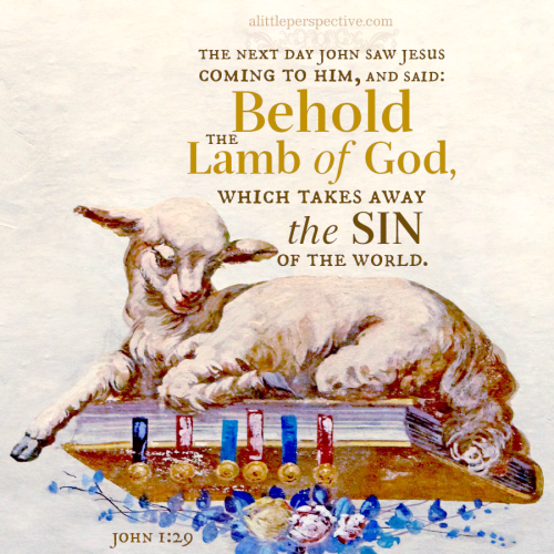 joh-1-29-KJV-unsplash