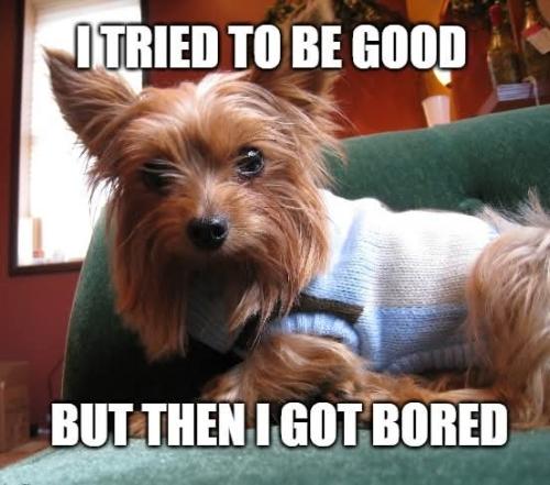 FB_IMG_1744988505662