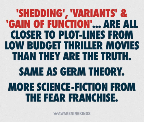 Screenshot 2025-04-03 113052