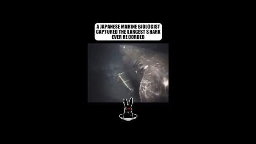 GodHnqeXoAAZ-MT