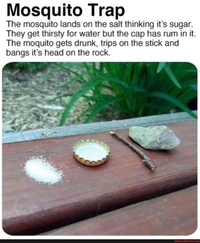 6f0ffe44ccc1c6a6a0dc092b220b97d940bb9332f4d115ffc12cf0d92230dd34_1